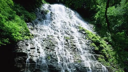 高效数字化先进